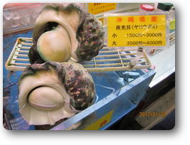 画像の説明